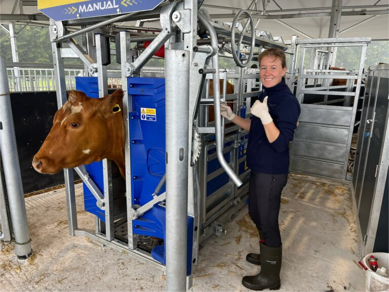 Großtiere behandeln 4