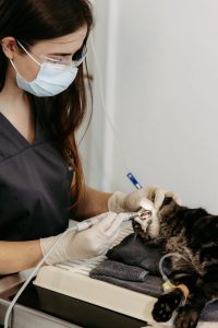 FotoatelierIJ_9836_212